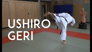 USHIRO GERI  karate back kick  TEAM KI [upl. by Aissac]