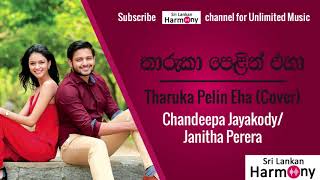 තාරුකා පෙලින් එහා Tharuka Pelin Eha Acoustic CoverChandeepa JayakodyJanitha Perera Nirasha [upl. by Willock]