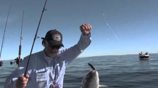 Boat Fishing for Kingfish  HOT ACTION [upl. by Scribner]