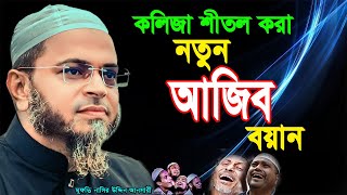 কলিজা শীতল করা নতুন বয়ান।। mufti nasir uddin ansari ।। মুফতি নাসির উদ্দিন আনসারী নতুন ওয়াজ [upl. by Elokkin]