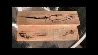 Lichtenberg Machine  Fractal Wood Burning [upl. by Augustin979]