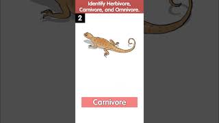 Identify the Herbivores Carnivores and Omnivores  Quiz Time  Science Quiz for Kids [upl. by Nelo]