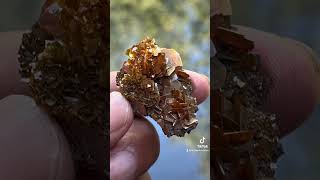 Wulfenite flowergemstone fineminerals wulfenite mineralspecimen [upl. by Diane-Marie]