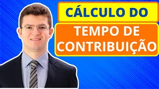 COMO SABER QUANTO TEMPO DE CONTRIBUIÇÃO PARA O INSS VOCÊ POSSUI [upl. by Navada]