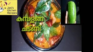 കുമ്പളങ്ങ ചട്ണിHow to make Ash Gourd chutney recipe in malayalam DoshaRiceIdli [upl. by Neerac]