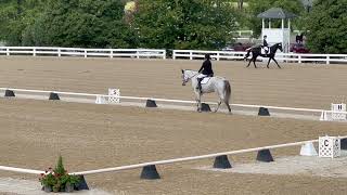 Regionals Region 2 KY Horse Park Training Test 1 [upl. by Arjan]