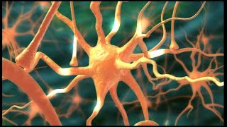 CERE120 Nerve Growth Factor Study Medical Animation [upl. by Icnarf]