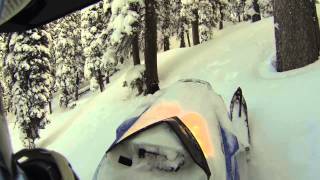 2013 Pro RMK Tree and Powder RIding [upl. by Atiugal]