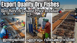 ഇതിലും നല്ലത് വേറെ എവിടെ കിട്ടും  Dry Fish Factory  Dry Fish Business  Export Quantity Dry Fish [upl. by Sauer]