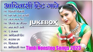 New Aadivasi Timli Song 2023 Aadiwasi Hit Songs Nonstop Timli Adivasi songs 2023 [upl. by Bolten]