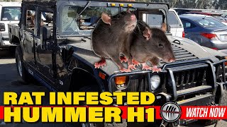 RAT INFESTED HUMMER H1 INTERIOR RESTORATION [upl. by Ddart]