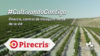 Bioinsecticida para el control de mosquito verde de la vid  Pirecris [upl. by Ladin]