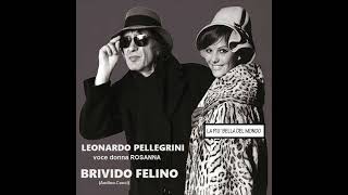 BRIVIDO FELINO [upl. by Eleda]