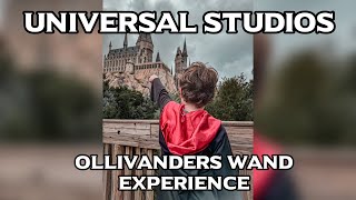 Getting chosen for the wand experience in Ollivanders Wand Shop  Universal Studios Florida ⚡️🪄 [upl. by Odrarej284]