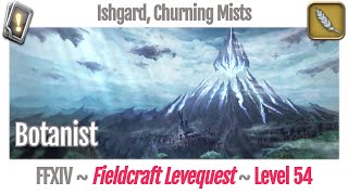 FFXIV Botanist Leves Level 54  Ishgard Churning Mists  Heavensward [upl. by Amble]