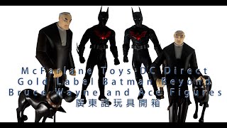 McFarlane Toys DC Direct Gold Label Batman Beyond Bruce Wayne and Ace Figures 廣東話 玩具開箱 [upl. by Xylia235]