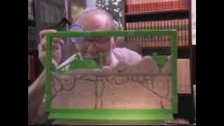 UNCLE MILTONS ANT FARM History of the Classic Ant Farm Toy [upl. by Janus]