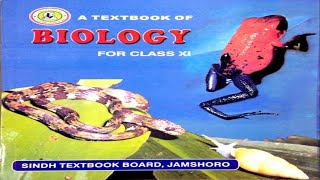 123 HETEROTROPHIC NUTRITION IN PLANTS  CHAPTER 12  NUTRITION  FIRST YEAR BIOLOGY [upl. by Enirbas17]