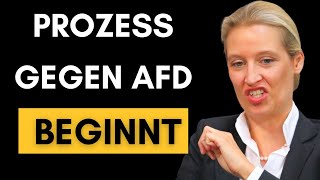 Gerichtprozess JETZT will Haldenwang die AfD VERNICHTEN [upl. by Aynodal880]