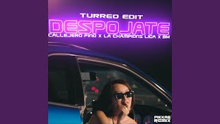 Despojate Turreo Edit DJ Mix [upl. by Erdnaet]