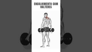 encolhimento com halteres [upl. by Ahsatan775]