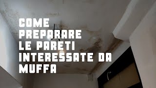 Come preparare le pareti interessate da muffa [upl. by Yllop142]