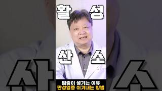 이것 매일 먹으면 온몸의 염증 걱정이 싹 사라집니다 [upl. by Atinat856]