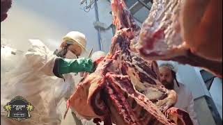 Satmar Rebbe R Aharon Checking Out The Kosher Slaughtering House In Uruguay [upl. by Baldwin]