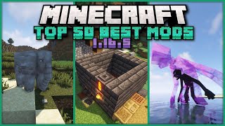 Top 50 Best Mods for Minecraft 1165  Ep 2 Tinkers Construct Mowzies Mobs Twilight Forest [upl. by Irahs]