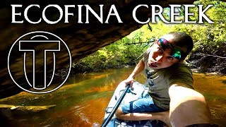 Conquering Econfina Creek  Kayak Camping Overnighter [upl. by Isewk]