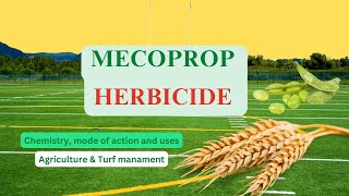 Mecoprop A Selective Herbicide for Broadleaf Weed Control [upl. by Bryon]