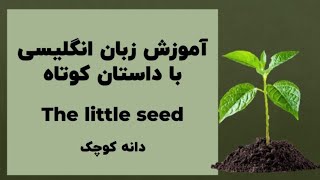 اموزش زبان انگلیسی با داستان کوتاه دانه کوچک the little seed 🌿☘️ [upl. by Nnave]