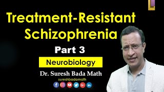 Treatment Resistant Schizophrenia Part 3 Neurobiology [upl. by Anela]