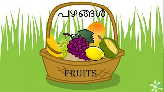 Learn Malayalam  മലയാളം  Fruit Song for kids  thumbi TV Learn Malayalam through cartoons [upl. by Spatz]