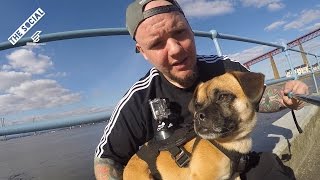 The Forth Bridge  Dog Tour Guide  VinnieTheJug [upl. by Bathsheeb]