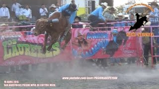 TOROS DIVINOS JUAN DIAZ vs INTOCABLES DE GTO EN SAN AGUSTIN DEL PULQUE 2015 [upl. by Glaab897]