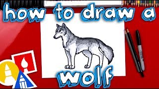 How To Draw A Realistic Wolf [upl. by Ahtekal]