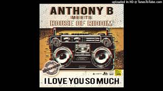 Anthony B  Love You so Much House Of Riddim Productions August 2024 [upl. by Nilahs100]