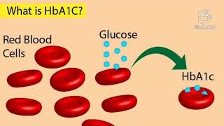 HbA1C Test Glycosylated Hemoglobin Test for Diabetes in Telugu [upl. by Yssac271]