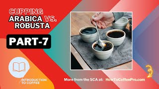 Part 7  SCA Introduction to Coffee CourseCupping Arabica vs Robusta Species [upl. by Emile]