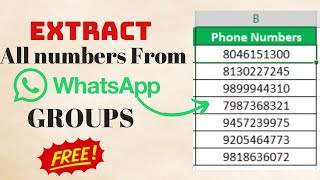 How to get all numbers from whatsapp group  How to download whatsapp group contacts in excel [upl. by Cozza39]