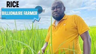 Ghanaian Billionaire Farmer Explain How He Became Owner Of 600 Acres Of Rice Farm  Profit Breakdown [upl. by Irroc]