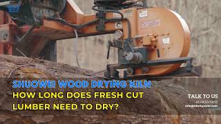 Wood Tips How Long Does Fresh Cut Lumber Need To Dry [upl. by Fidole167]