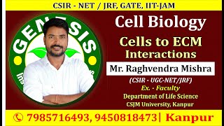 Cells to ECM attachment ECM Part 2  Cell Biology CSIR JRF GATE DBT ICMR JNU PhD [upl. by Chandra]