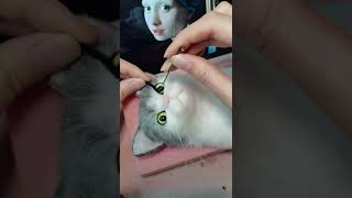 New Work Needle Felted Cat Projects Girl with a Pearl Earring  Needle Felting ASMR [upl. by Camus]