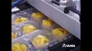 Fruit packaging cut in pieces in thermoforming in rigid film [upl. by Elletnuahc]