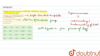 Arrange the various proteins involved DNA replication in the correct sequence they are usedi [upl. by Nalorac]