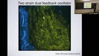 Krešimir Josić  Mathematical Modeling for the Rational Design of Synthetic Microbial Consortia [upl. by Orola]