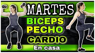 RUTINA DE MARTES  ADELGAZAR BRAZOS Y DEFINE PECHO  CARDIO INTENSO DE 30 MINUTOS  NatyGlossGym [upl. by Anet]