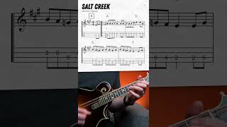 quotSalt Creekquot Mandolin Lesson shorts [upl. by Aglo]